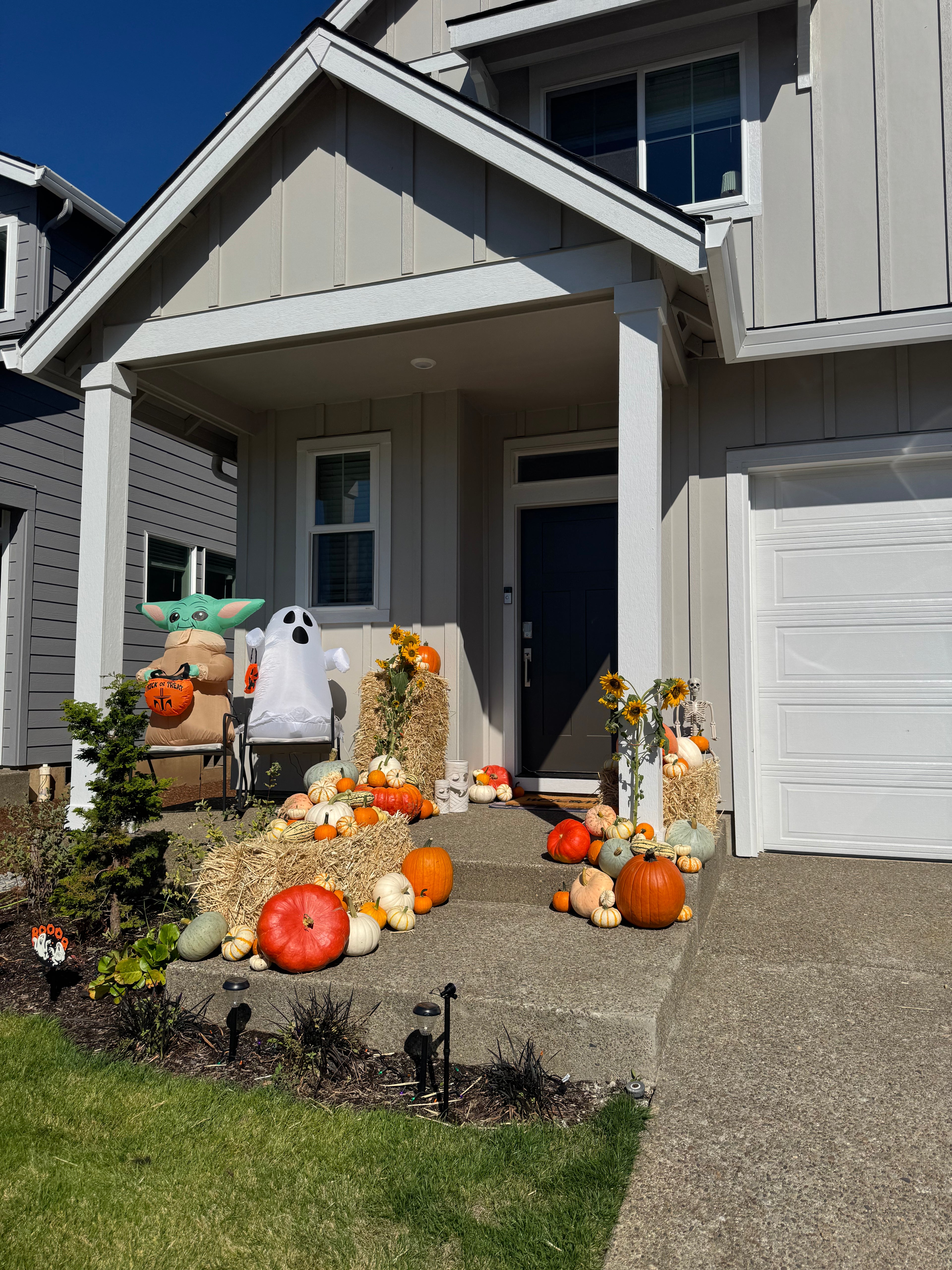 Pumpkin Lover